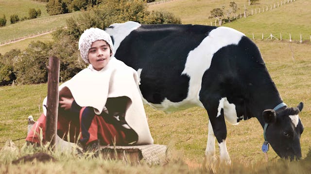 La vía láctea - Trailer