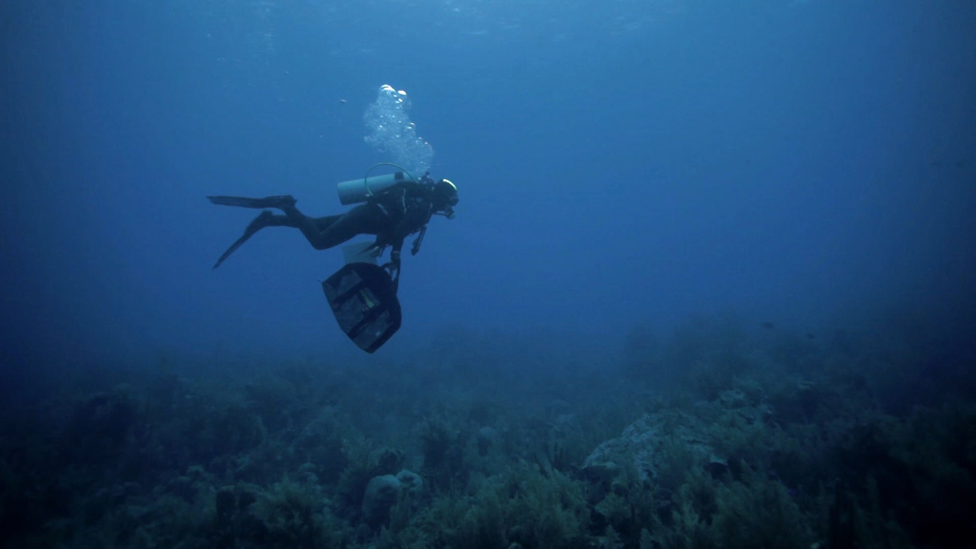 Madre Agua - E6: Orgía marina