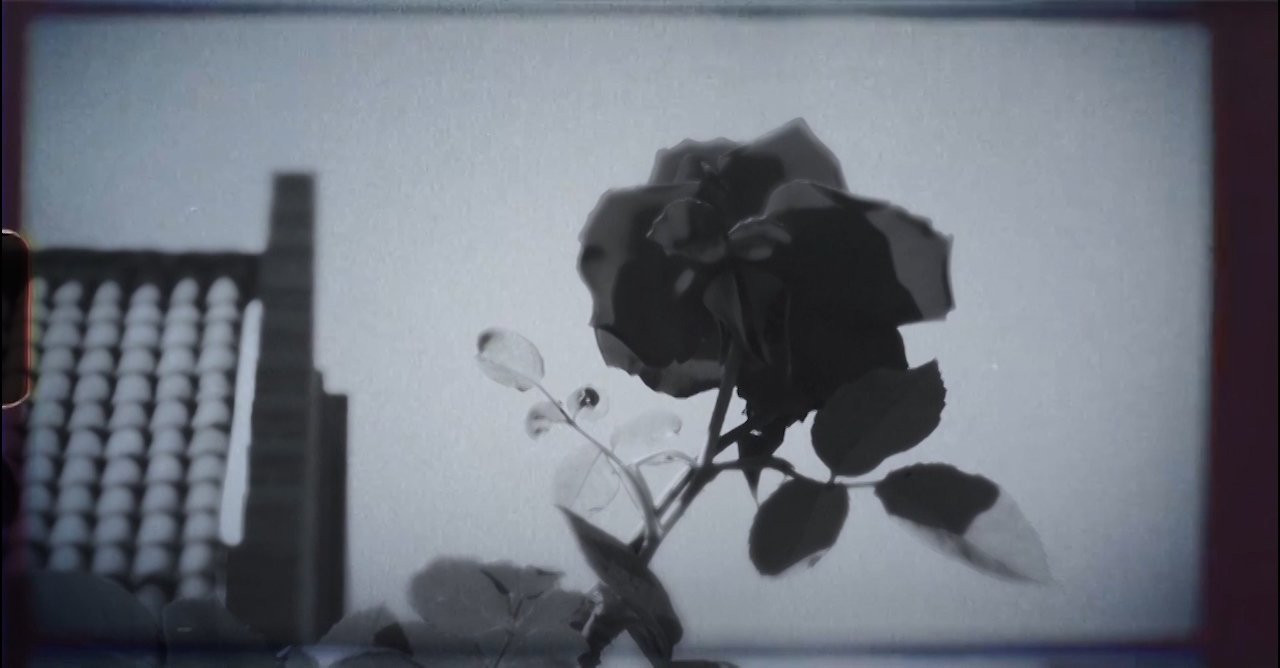 Día 22 - Crónicas de la Cuarentena (Quarantine Chronicles)