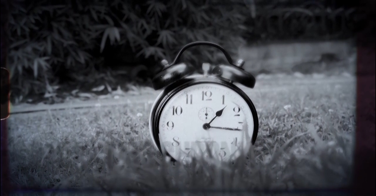 Día 6 - Crónicas de la Cuarentena (Quarantine Chronicles)