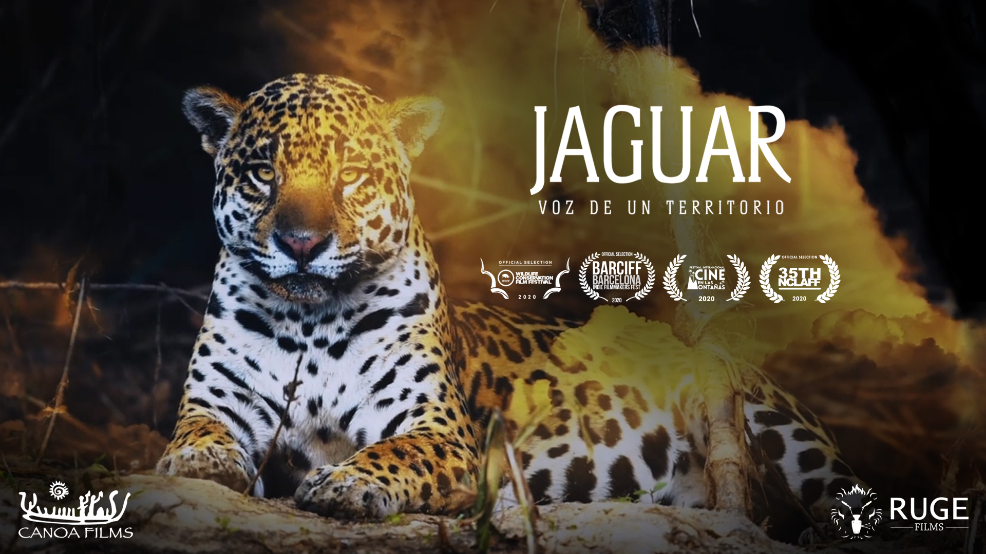 Jaguar Voz de un Territorio - Trailer