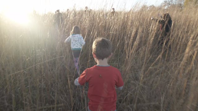Tall Grass Hide and Seek