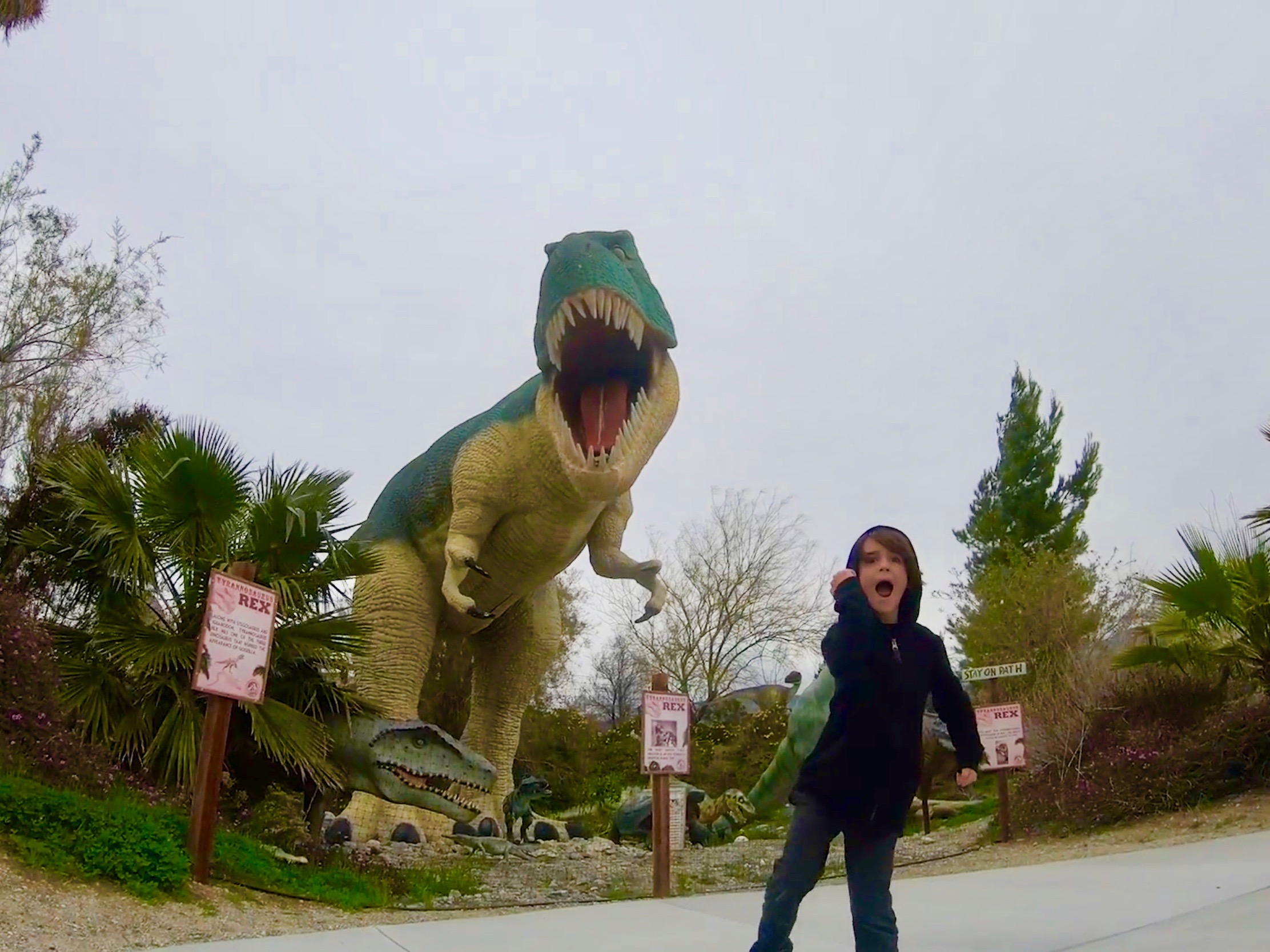 Dinosaur Park