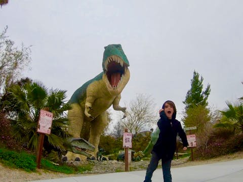 Dinosaur Park