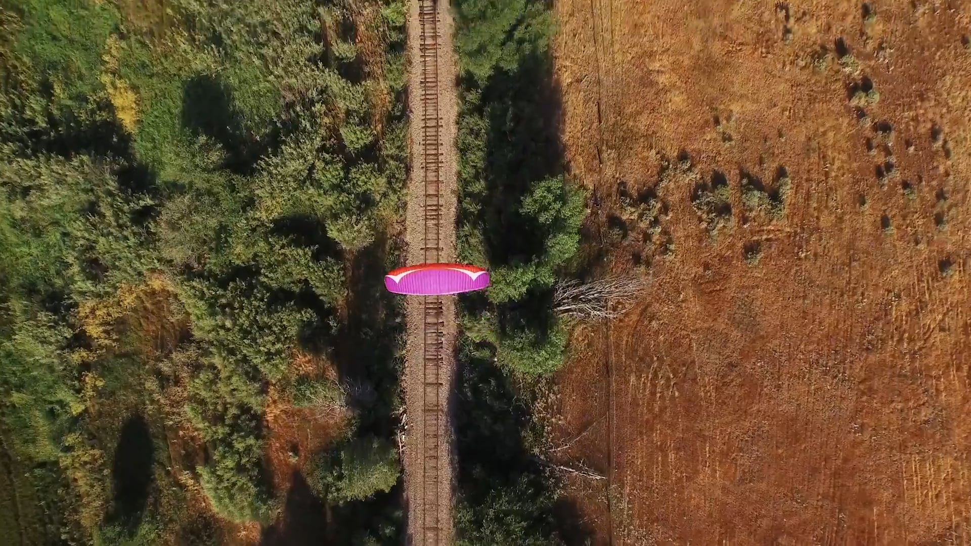 Low Level Paramotor Flying