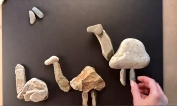 Making Camels
