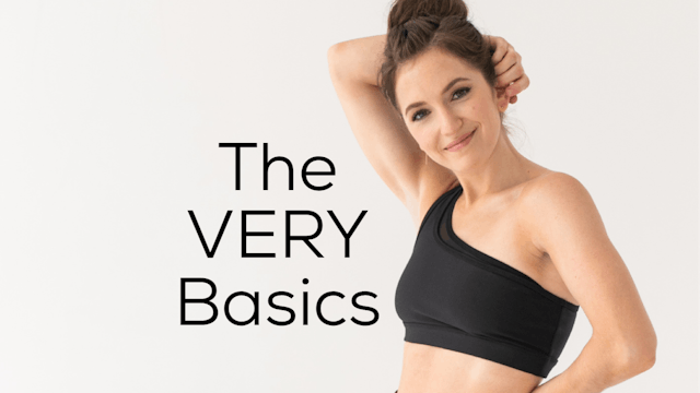 The VERY Basics (30 mins)