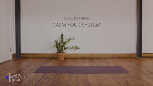 CALM YOUR SYSTEM