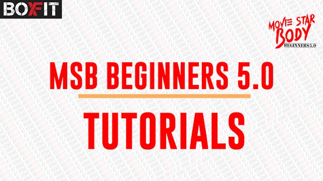 MSB Beginners Tutorial 5.0