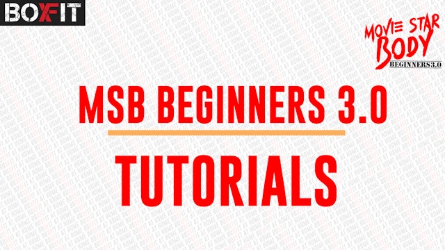 MSB Beginners Tutorial 3.0