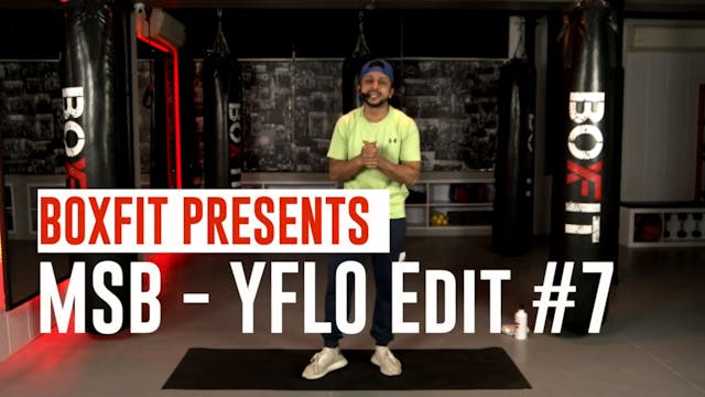 MSB - YFLO Edit #7