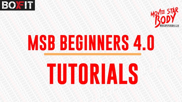 MSB Beginners Tutorial 4.0