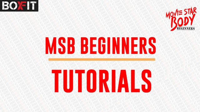 MSB Beginners Tutorial
