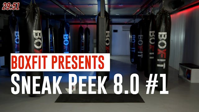 Sneak Peek 8.0 #1