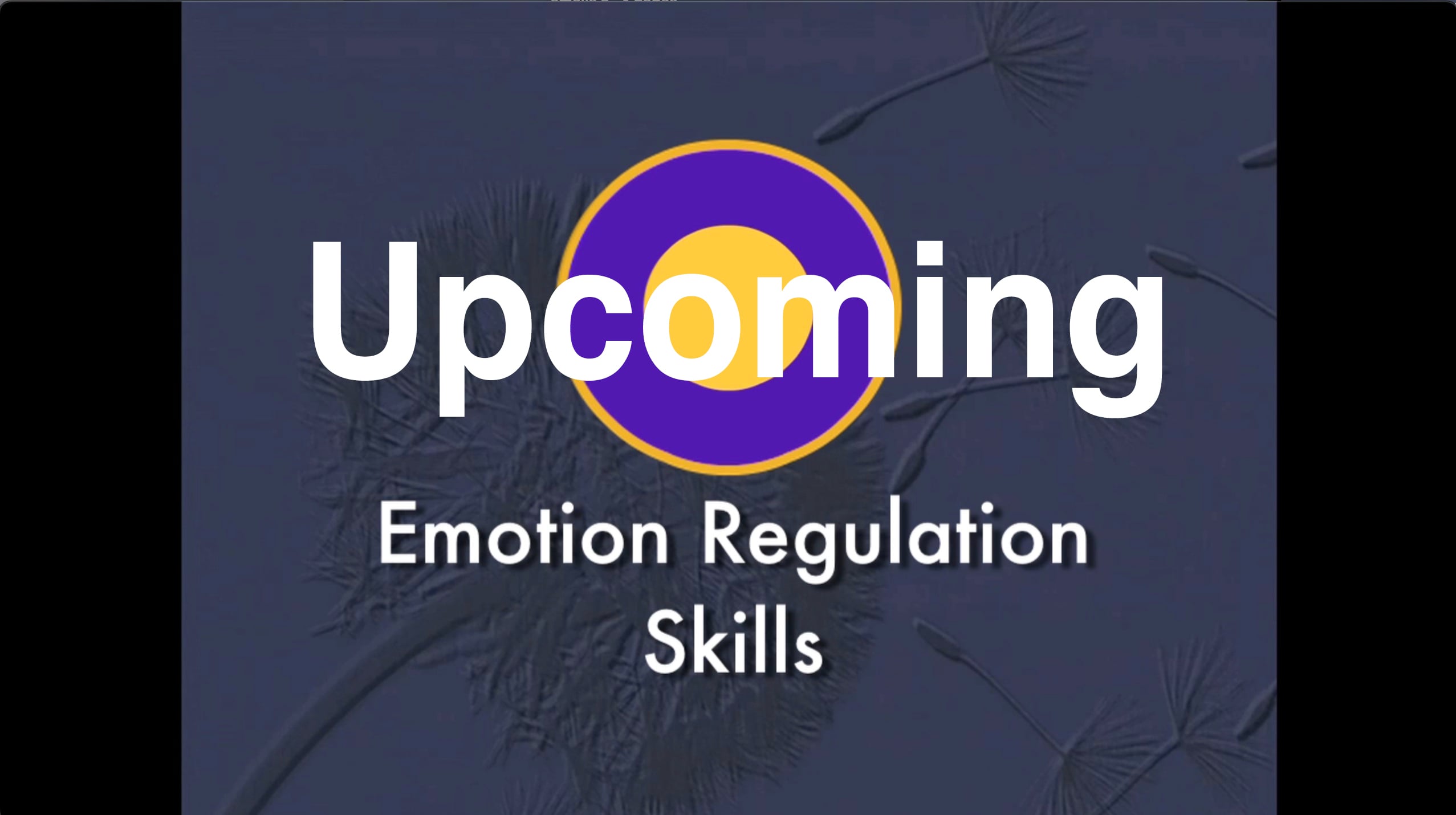 Emotion Regulation Skills - Trailer
