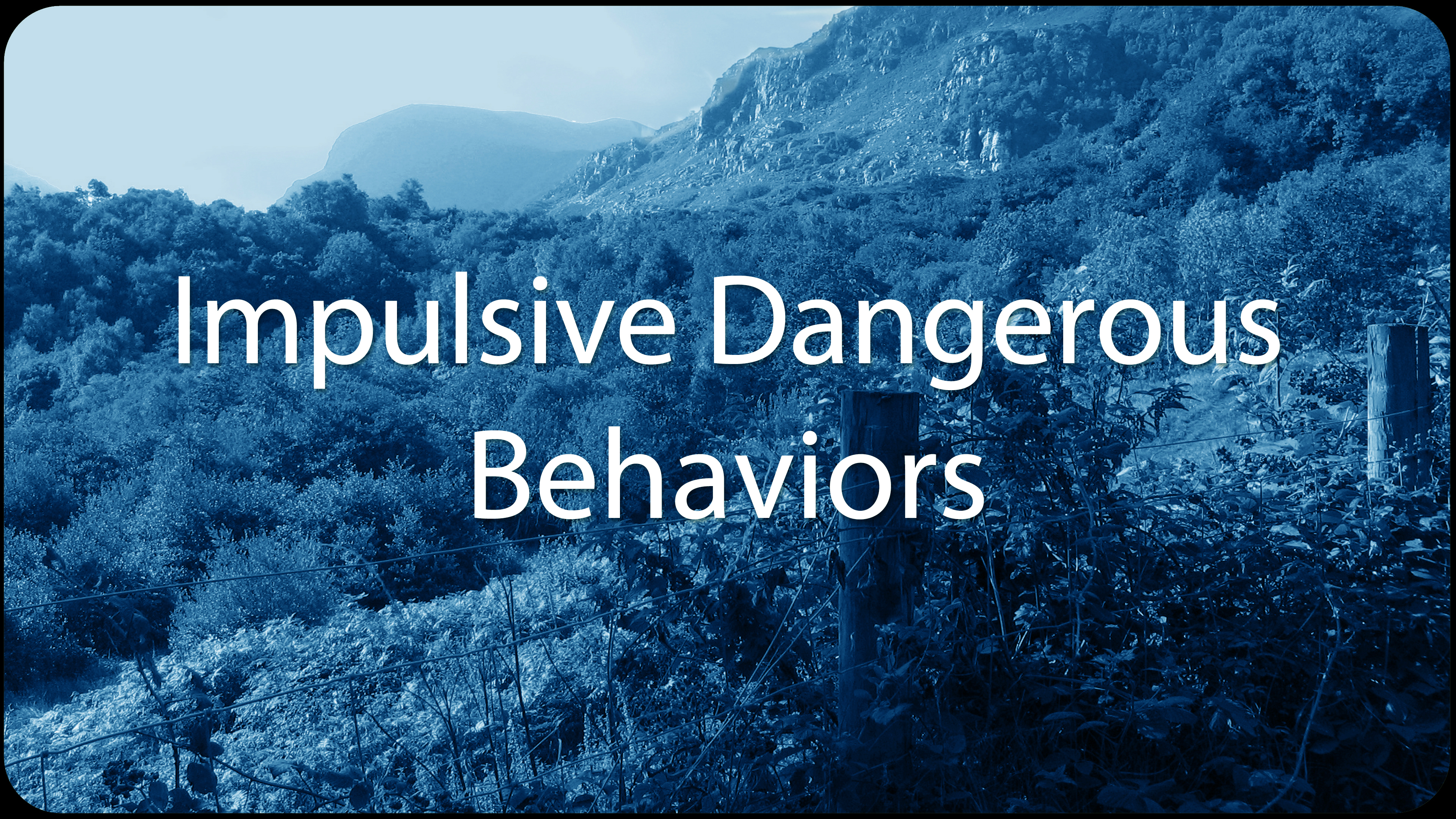 Impulsive Dangerous Behaviors