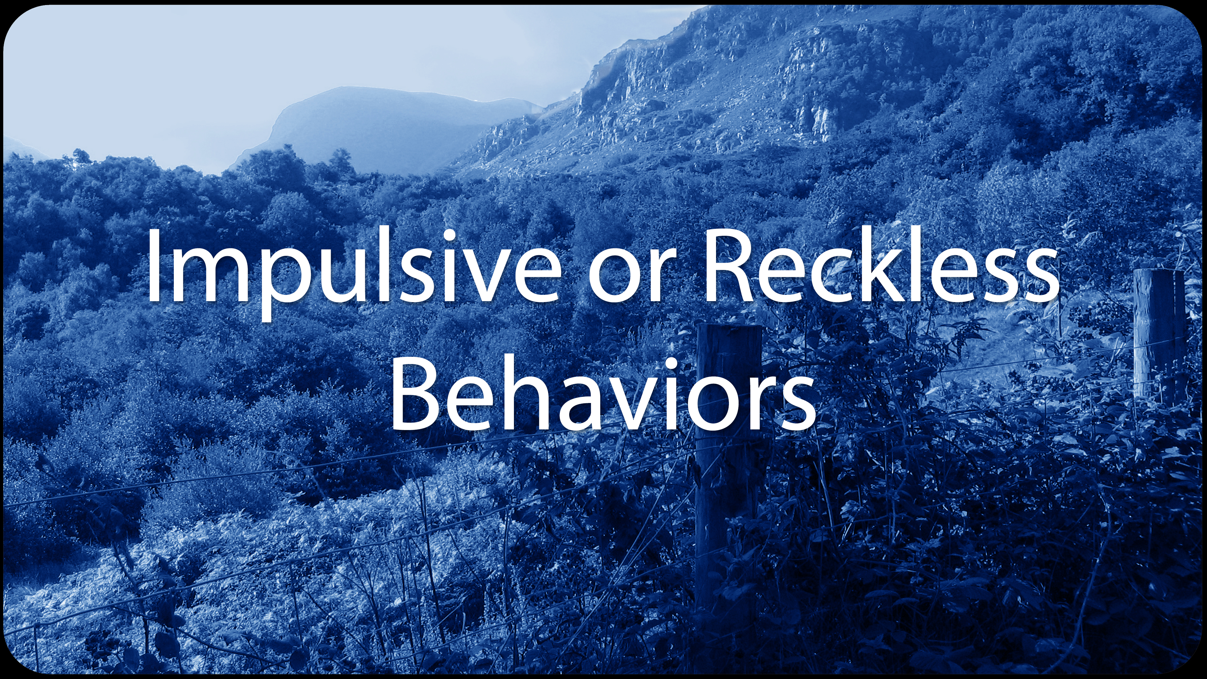 Impulsive or Reckless Behaviors