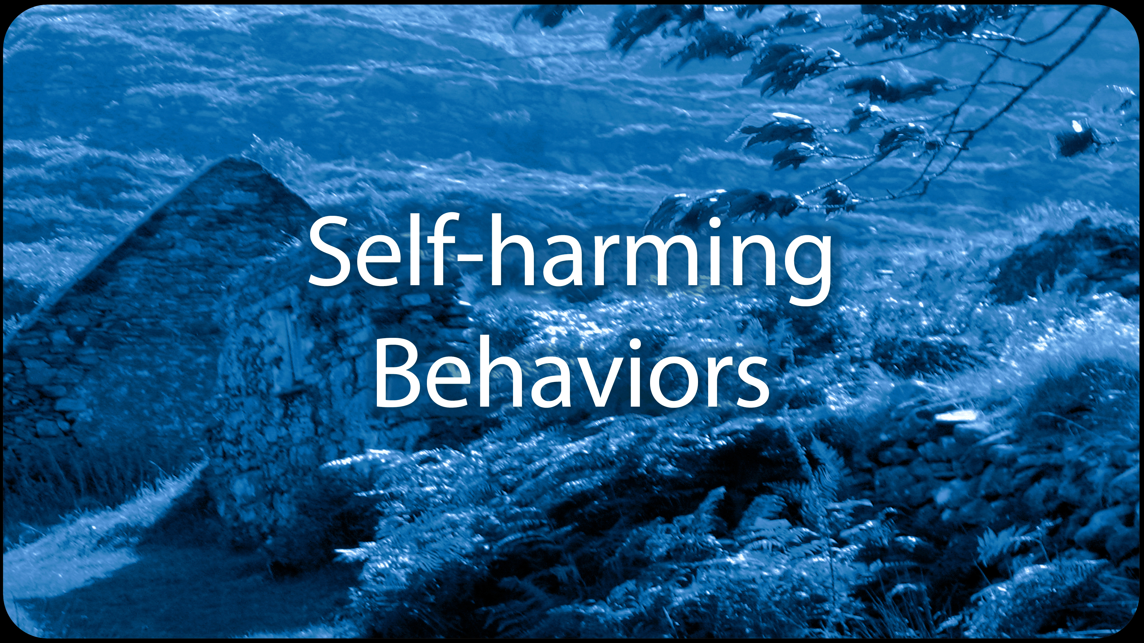 Self-harming Behaviors