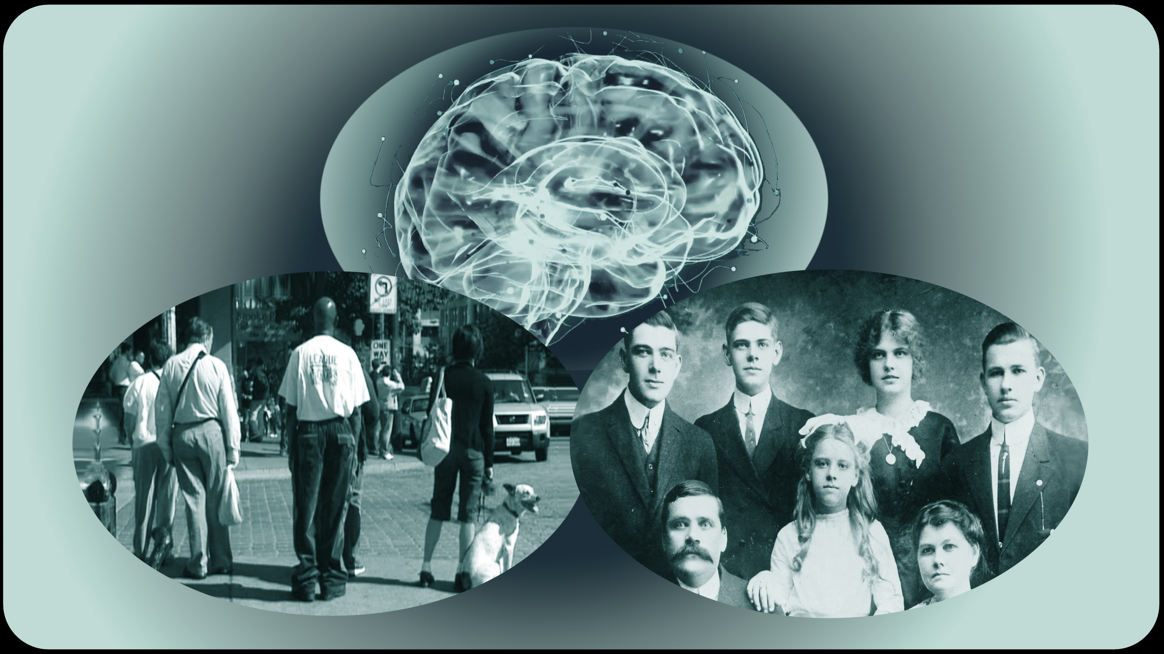 How to explain the causes of BPD