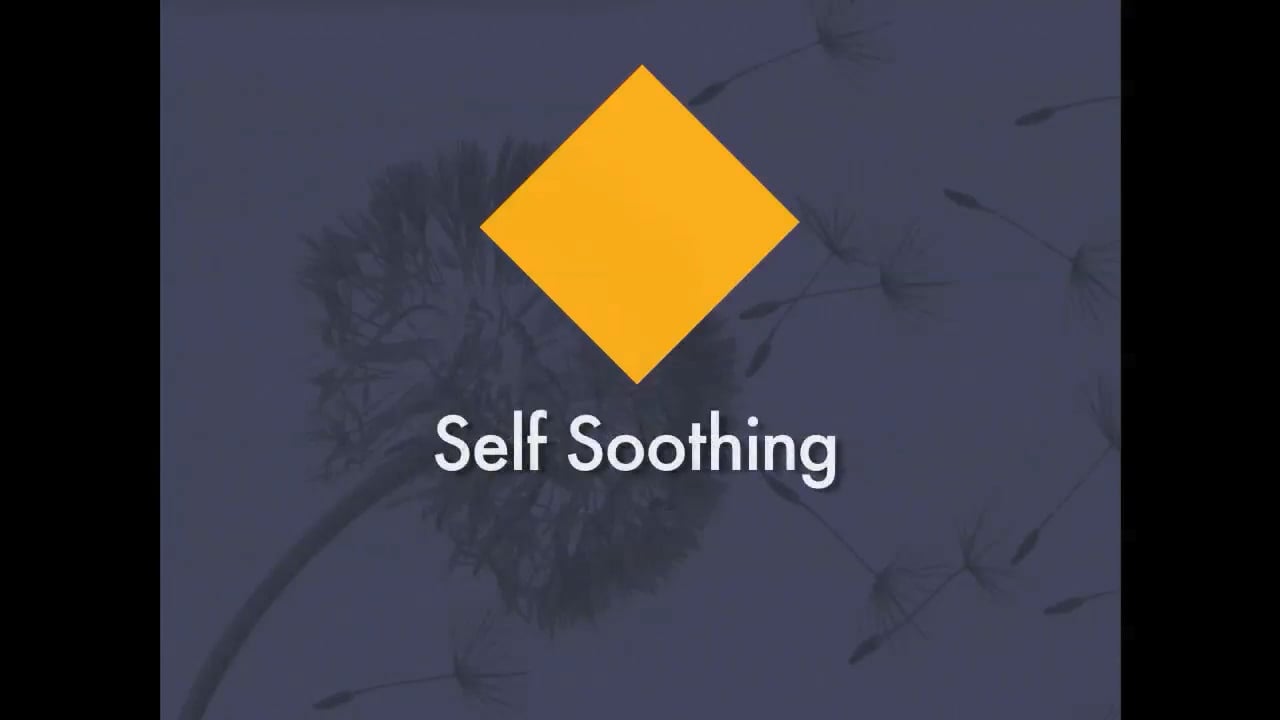 SELF SOOTHING - A Crisis Survival Skill - Marsha Linehan
