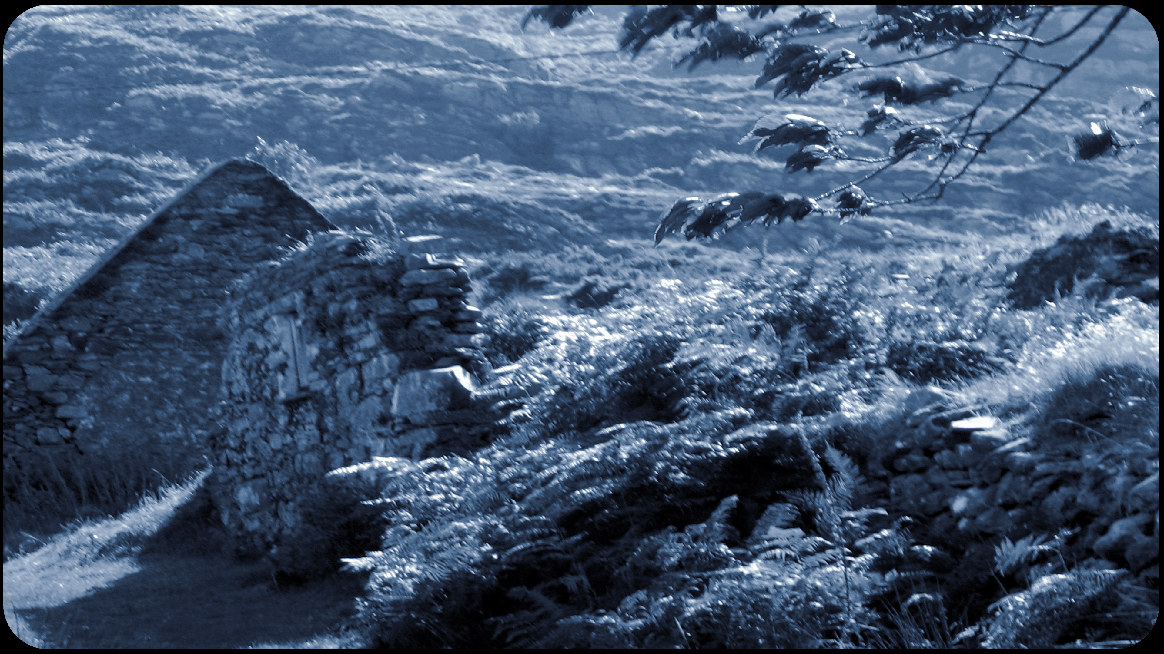 Information about self-harm