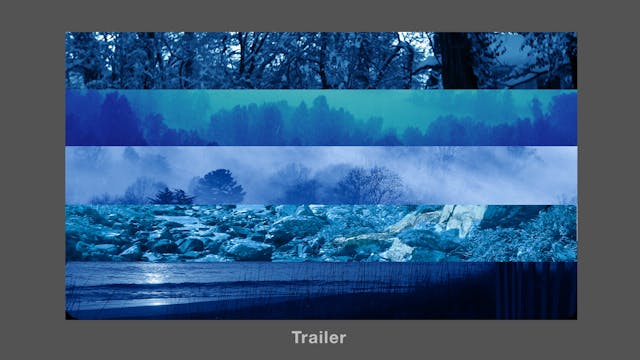 Symptoms Overview - Trailer