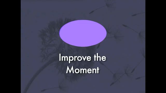 IMPROVE THE MOMENT - A Crisis Surviva...