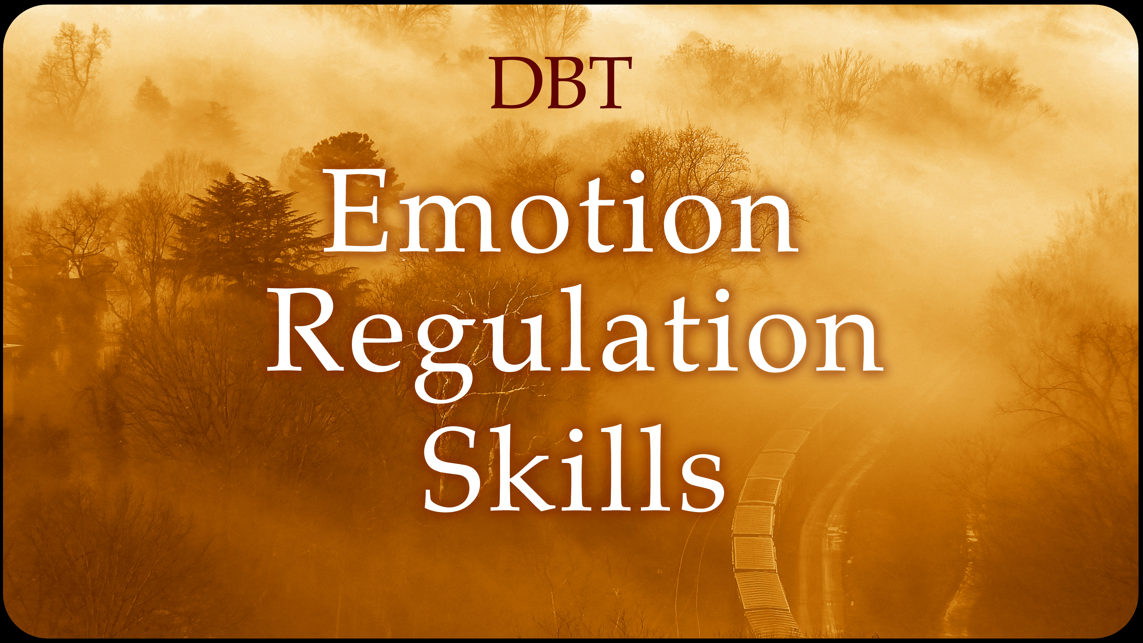 DBT Emotion Regulation Skills