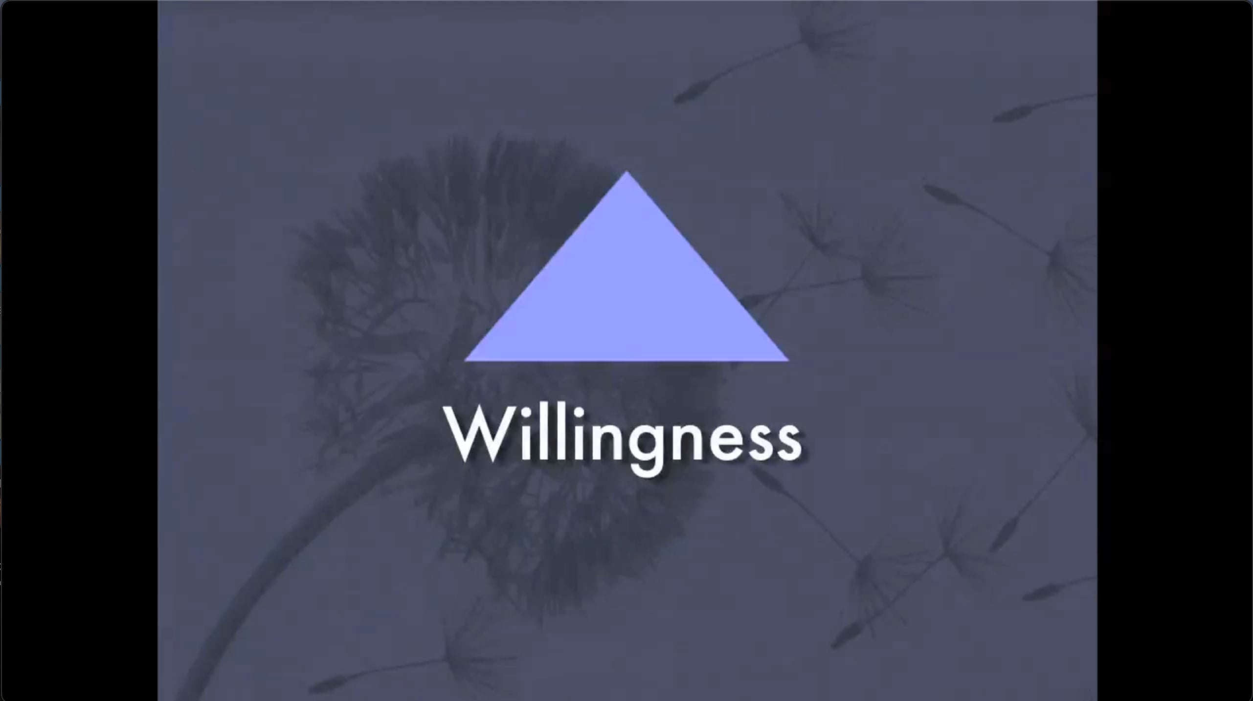 WILLINGNESS - A Reality Acceptance Skill - Marsha Linehan