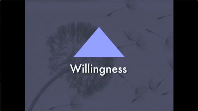 WILLINGNESS - A Reality Acceptance Sk...