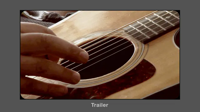 Impulsive or Reckless Behaviors -Trailer