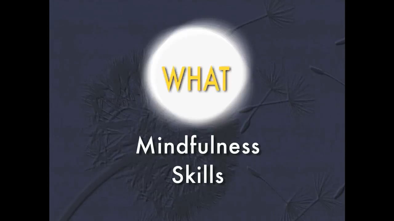 Mindfulness WHAT