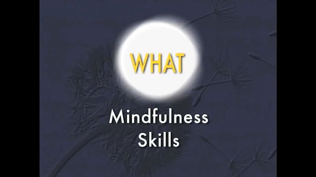 Mindfulness WHAT