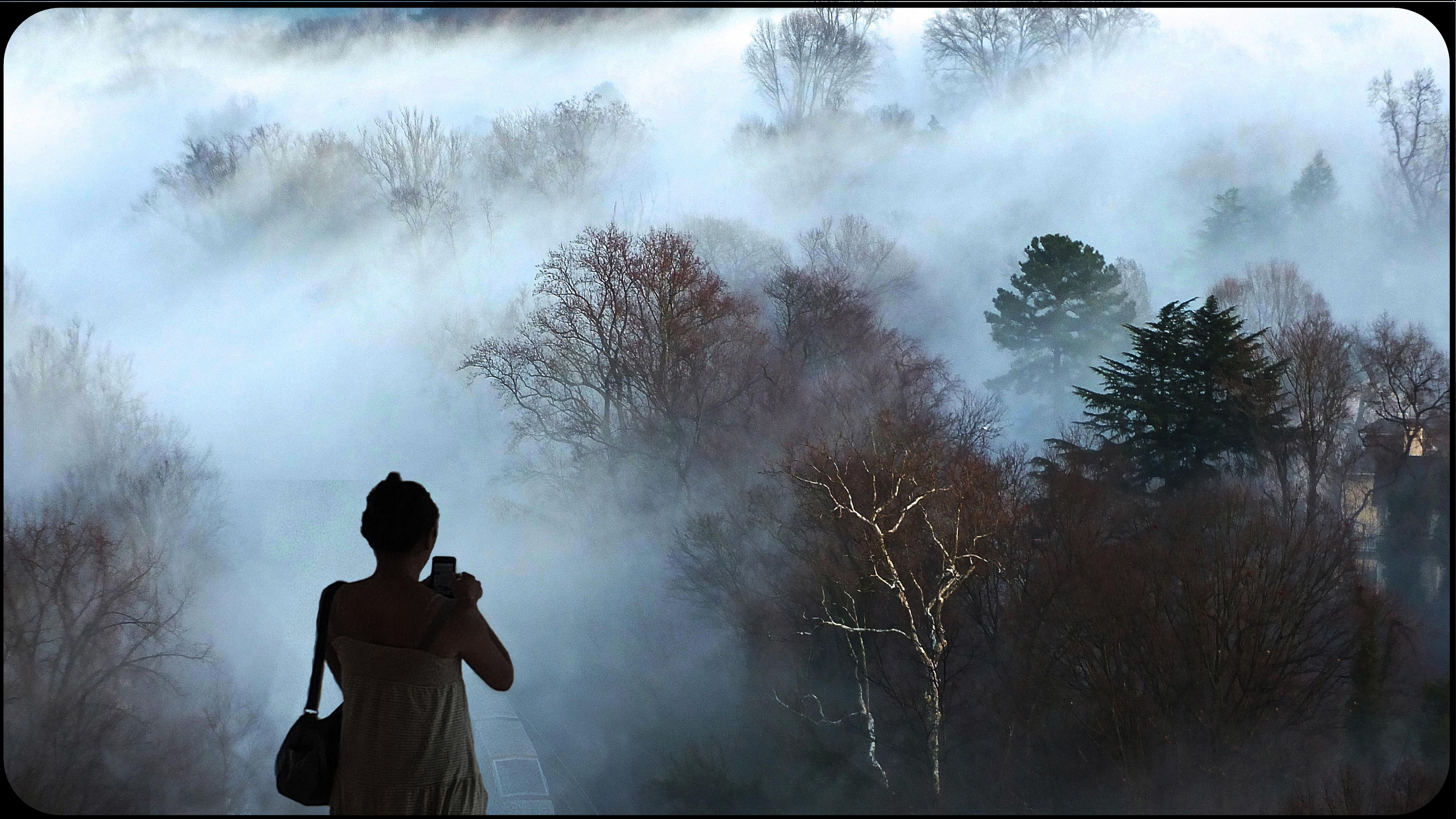 How to understand Borderline Personality Disorder