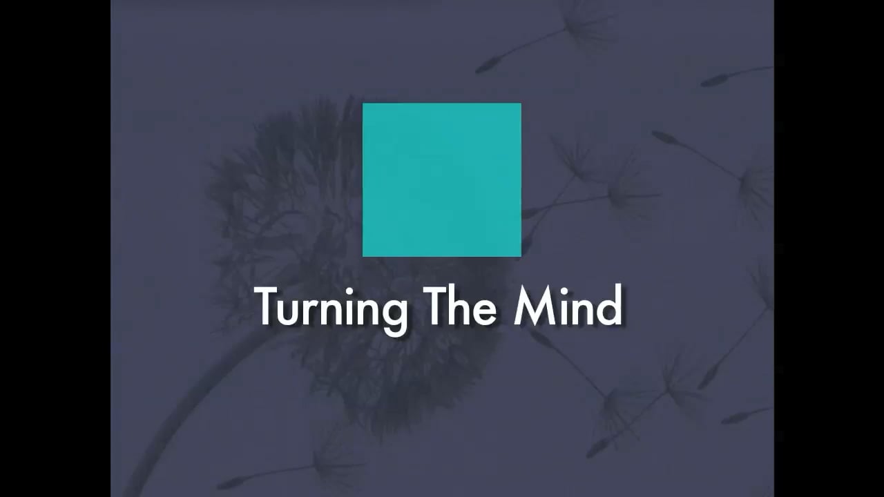 TURNING THE MIND - A Reality Acceptance Skill - Marsha Linehan