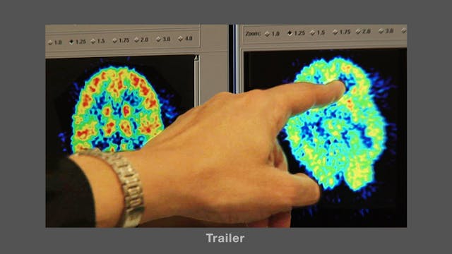 Causes of BPD - Trailer