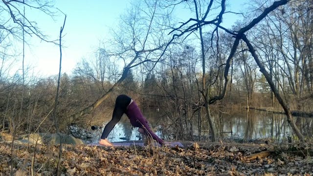 Chakra Vinyasa