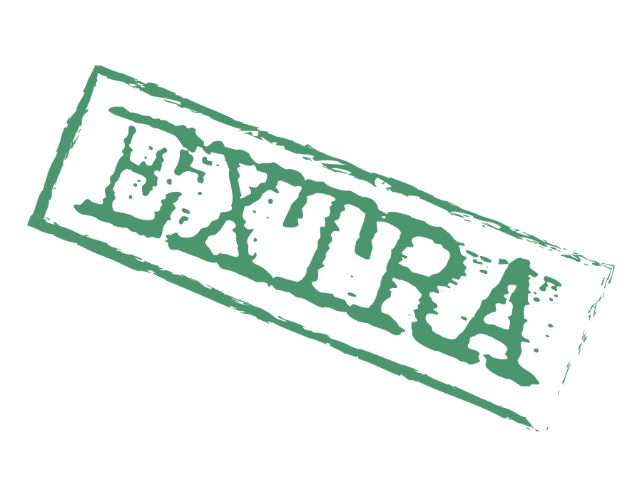 Bonus Videos & Workshops