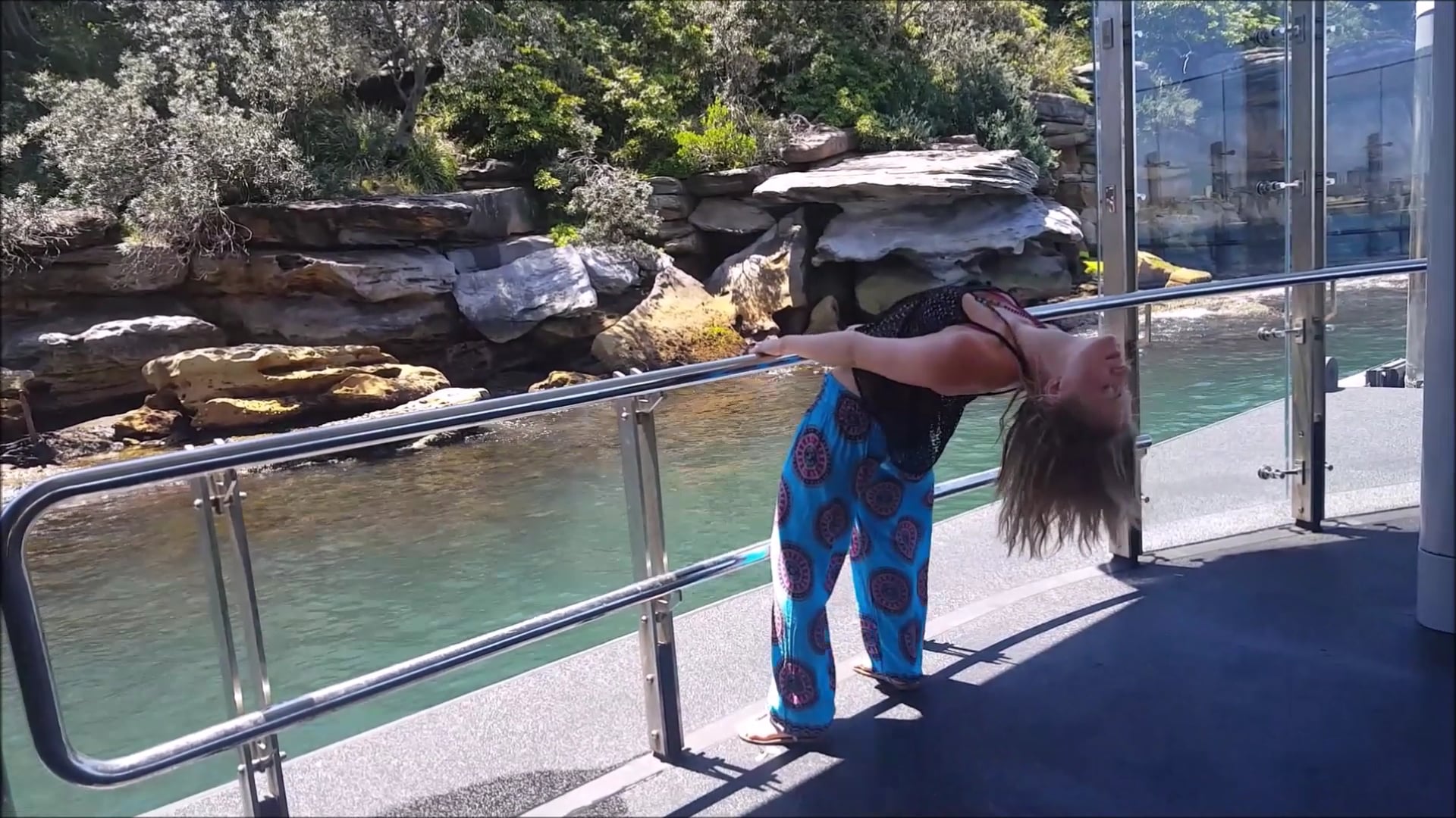 Barre or Railing Workout