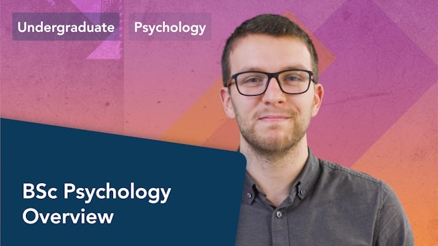 BSc Psychology Overview