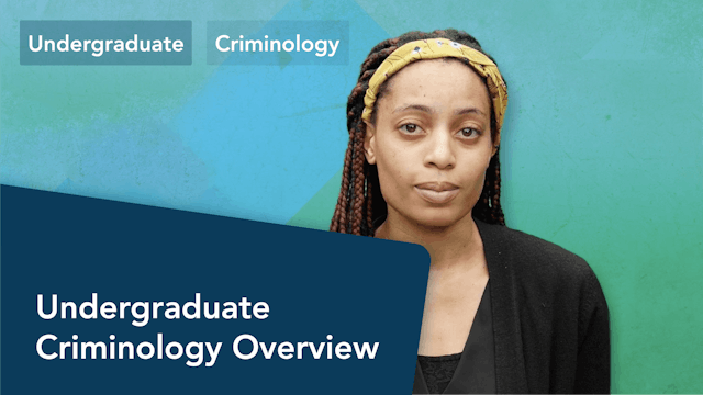 Undergraduate Criminology Overview
