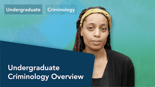 Undergraduate Criminology Overview