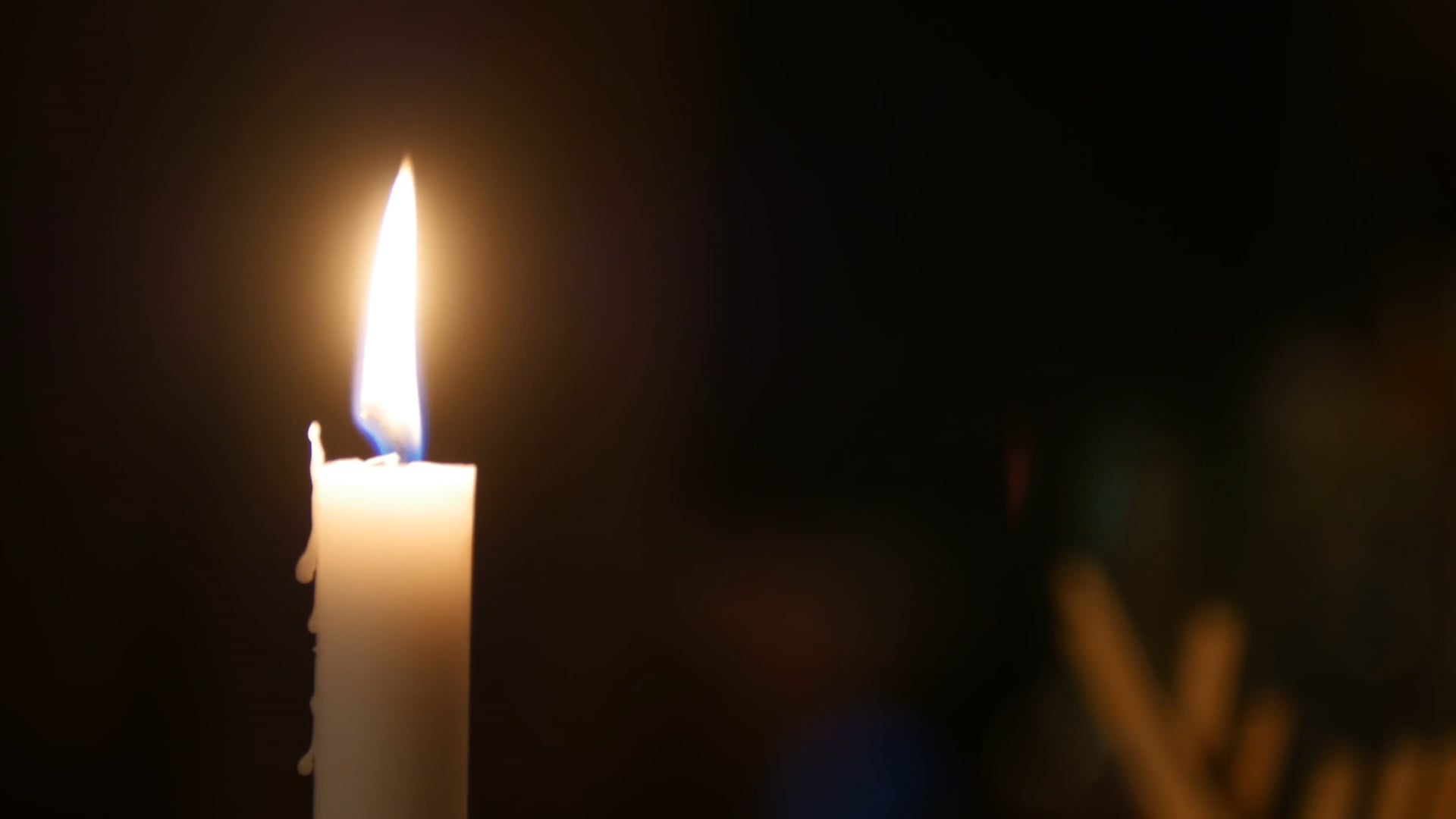 Mad House S02: Trailer