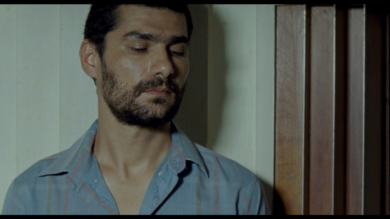 The Moving Creatures - Directed by Caetano Gotardo