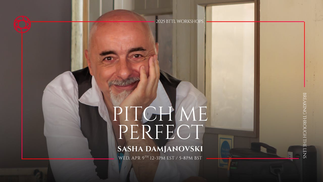 Pitch Me Perfect with Sasha Damjanovski (3-hours)