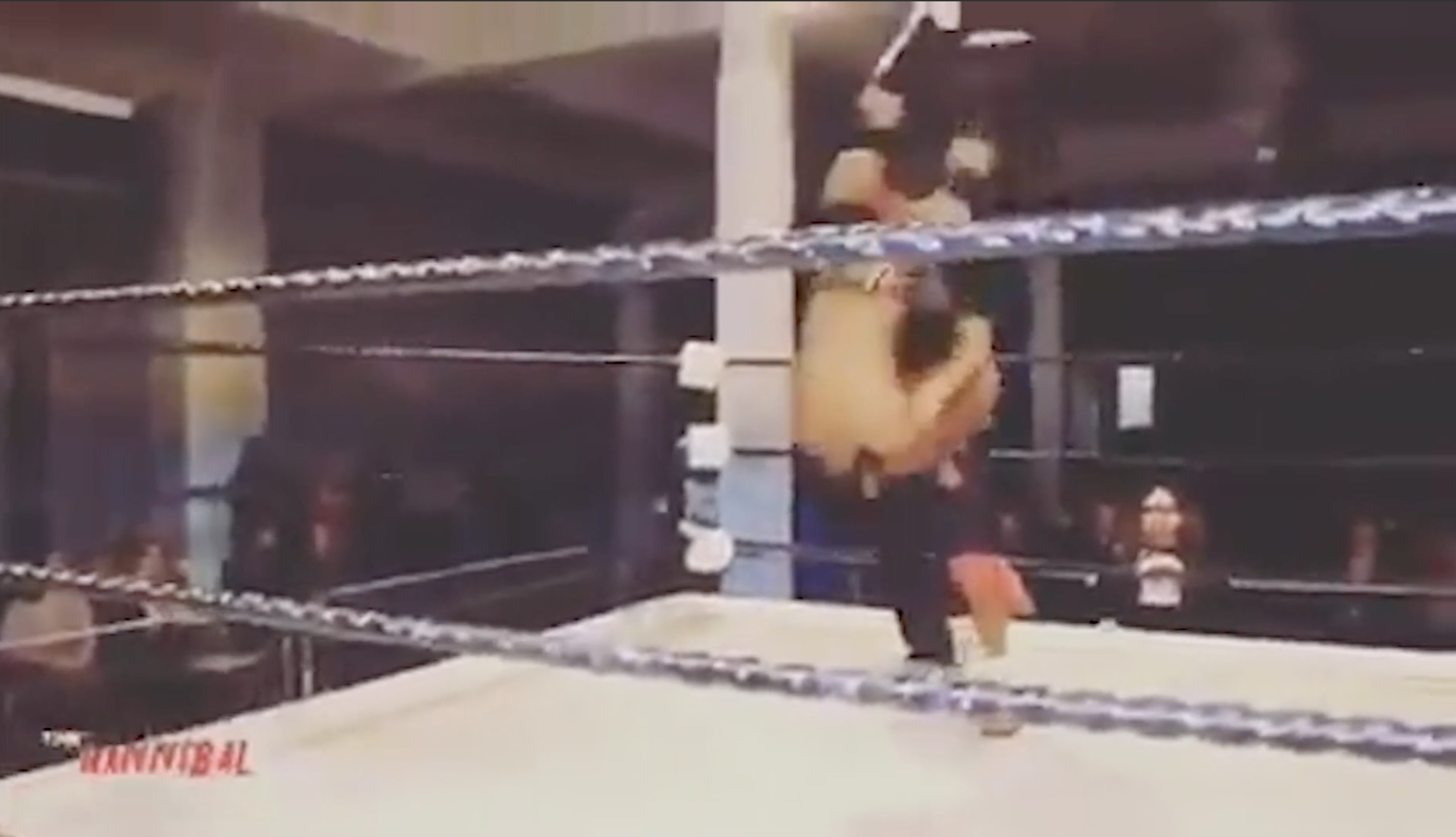 No Limit Pro Wrestling