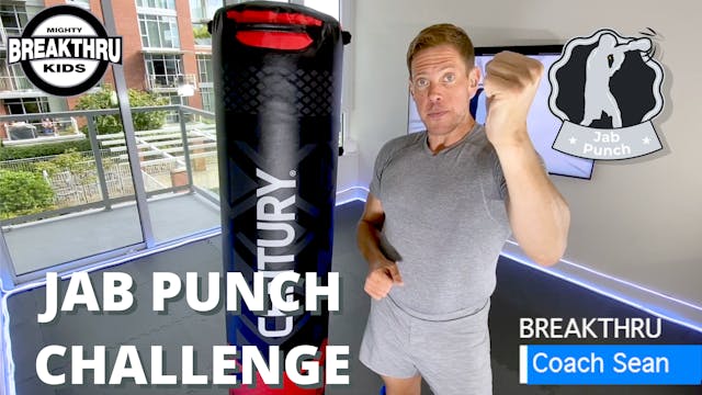 Jab Punch Challenge 