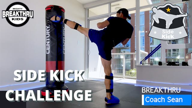 Side Kick Challenge 