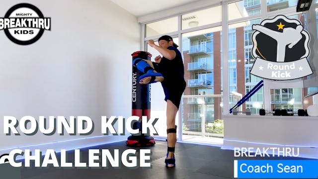 Round Kick Challenge 
