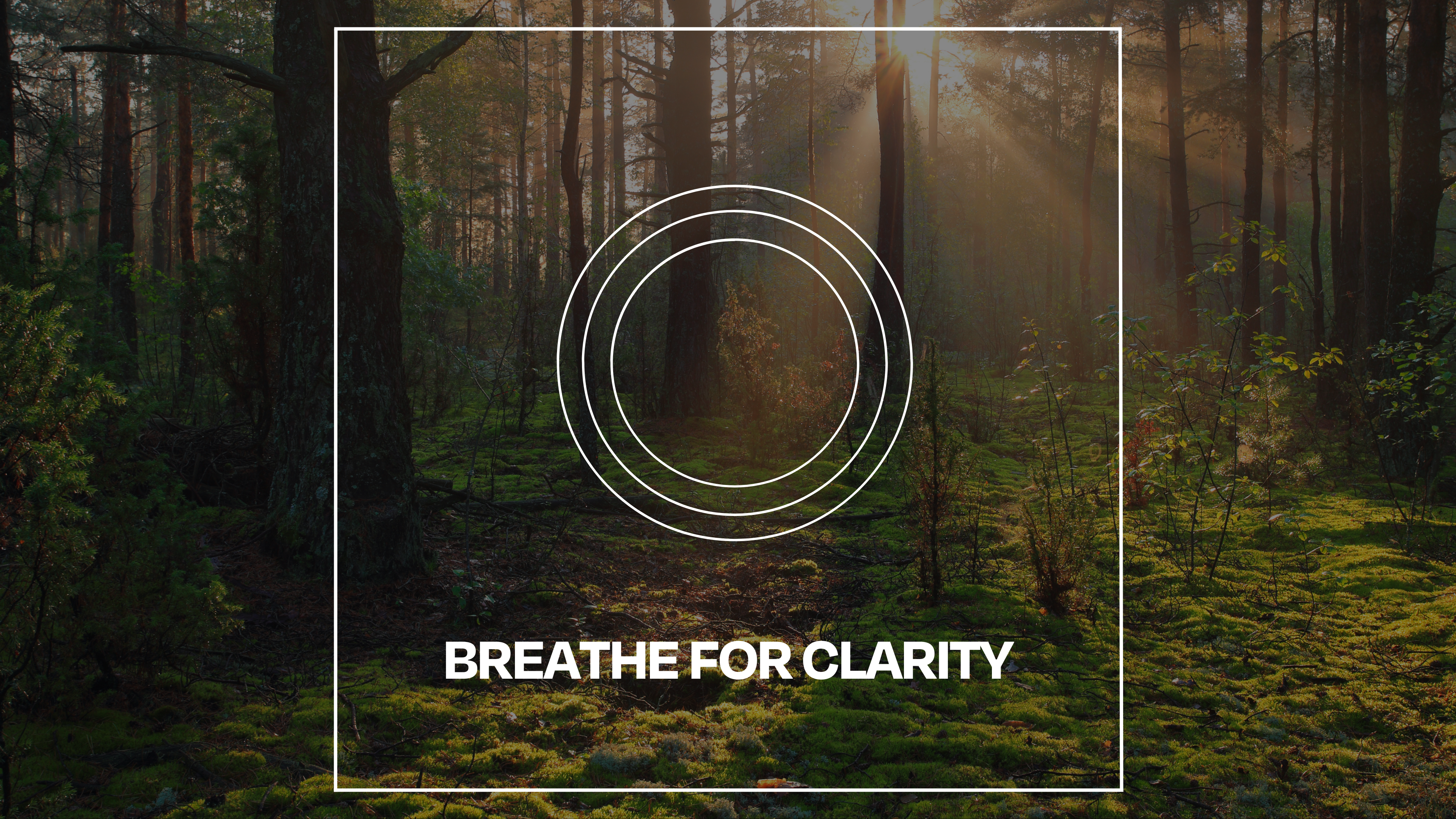 BREATHE FOR CLARITY & FOCUS